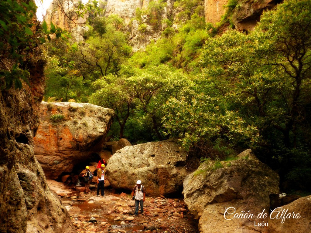Cañón de Alfaro, León